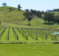 Blue House at Mountainside Wines - Kempsey Accommodation