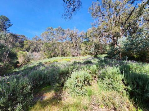 The Lavender Patch - Kempsey Accommodation 3