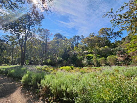 The Lavender Patch - Kempsey Accommodation 2
