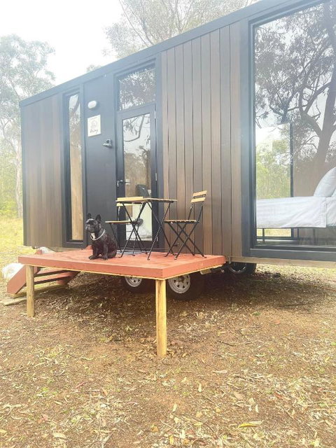 Whispering Wallaby By Tiny Away - Kempsey Accommodation 1