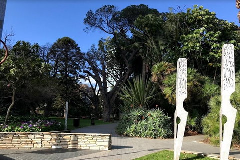 Perth Scavenger Hunt: Perched On A Swan - Kempsey Accommodation 2