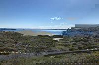 Penguin Island And Fremantle - Canoe Chocolate  Coffee, Perth