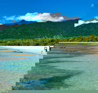 5-Day Best of Cairns with Daintree Kuranda and Great Barrier Reef - Kempsey Accommodation