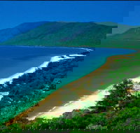 Cairns Reef and Rainforest Combo Daintree Rainforest and the Great Barrier Reef - Kempsey Accommodation