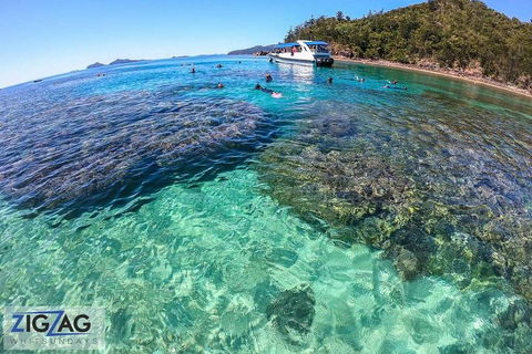 Whitehaven Beach Day Tour With Snorkel In Whitsundays Island - Kempsey Accommodation 5