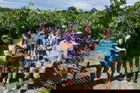 Adelaide Hills and Hahndorf - Half Day Private Tour