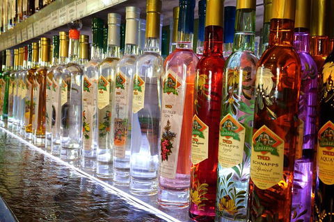 Bar & Brewery Tour - Kempsey Accommodation 4