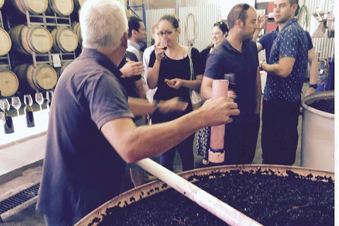 Luxury Private Mclaren Vale Wine Tour - Kempsey Accommodation 4