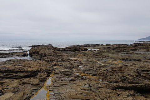 Luxury Private Great Ocean Road Tour Up To 11 People - Entire Vehicle - Kempsey Accommodation 1