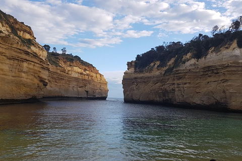 Luxury Private Great Ocean Road Tour Up To 11 People - Entire Vehicle - Kempsey Accommodation 2