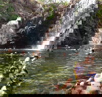 Litchfield National Park and Jumping Crocodile Cruise - Kempsey Accommodation