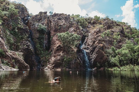 Litchfield National Park Day Tour From Darwin With Waterfalls And Buley Rockhole - Kempsey Accommodation 1