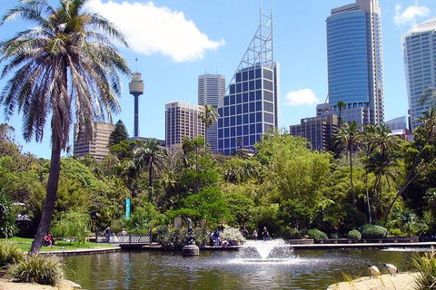 Private Sydney Half Day Tour Including Sydney Opera House And Bondi Beach - Kempsey Accommodation 4