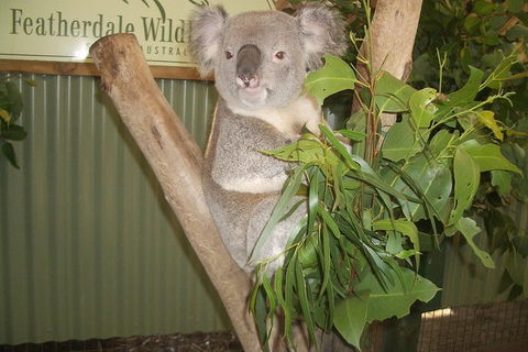 Full-Day Private Blue Mountains Tour With River Cruise - Kempsey Accommodation 2