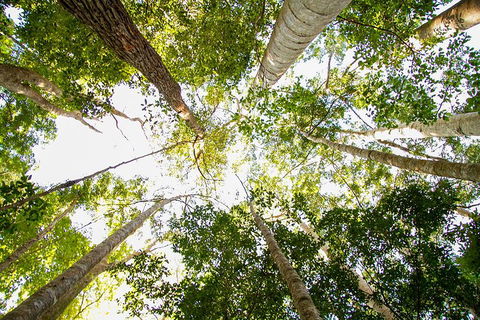 Fraser Island 4WD Tour From Noosa - Kempsey Accommodation 0