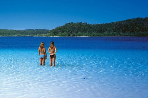 Fraser Island 4WD Tour From Noosa - Kempsey Accommodation 2