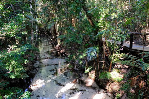 Fraser Island 4WD Tour From Rainbow Beach - Kempsey Accommodation 0