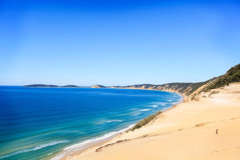 Kayak With Dolphins And 4WD Great Beach Drive Day Trip From Noosa - Kempsey Accommodation 0