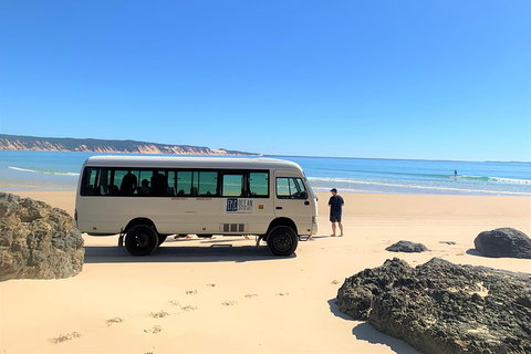 Kayak With Dolphins And 4WD Great Beach Drive Day Trip From Noosa - Kempsey Accommodation 4