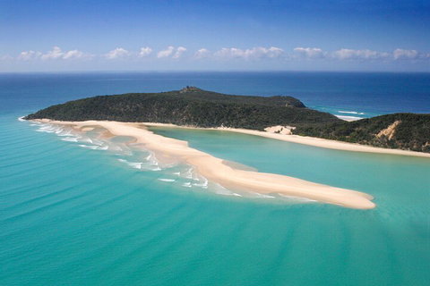 Kayak With Dolphins And 4WD Great Beach Drive Day Trip From Noosa - Kempsey Accommodation 5