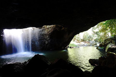 Rainforest & Waterfalls Extravaganza - Kempsey Accommodation 0