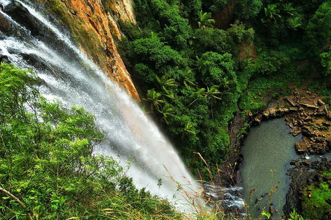 Rainforest & Waterfalls Extravaganza - Kempsey Accommodation 1