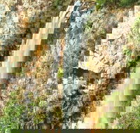 Private Tour - Rainforest  Waterfalls Extravaganza - Kempsey Accommodation