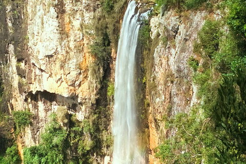 Private Tour - Rainforest & Waterfalls Extravaganza - Kempsey Accommodation 0