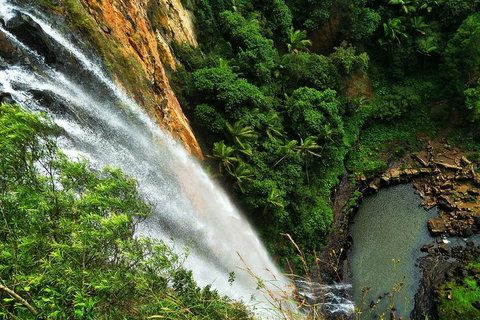 Private Tour - Rainforest & Waterfalls Extravaganza - Kempsey Accommodation 2