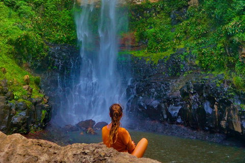 Private Tour - Rainforest & Waterfalls Extravaganza - Kempsey Accommodation 3