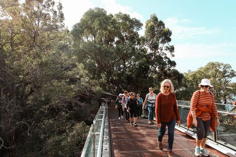 Highlights Of Kings Park - Kempsey Accommodation 3