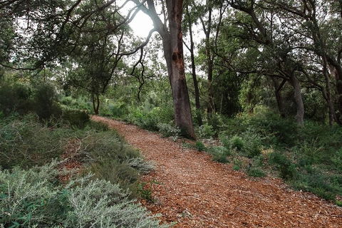 Highlights Of Kings Park - Kempsey Accommodation 5