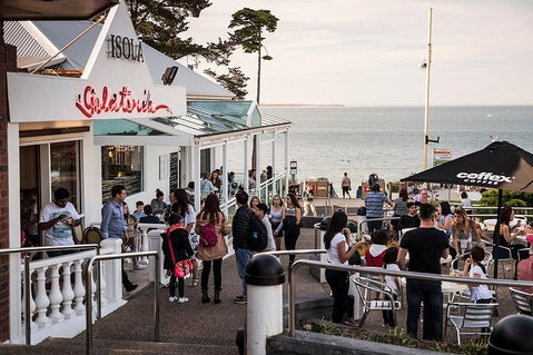 Phillip Island And French Island Wildlife Expedition - Kempsey Accommodation 0