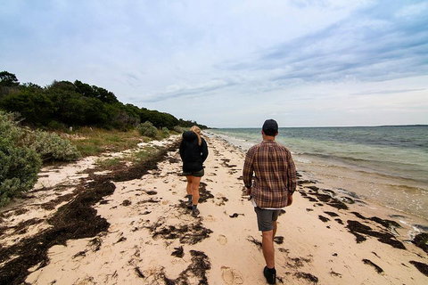 Phillip Island And French Island Wildlife Expedition - Kempsey Accommodation 1