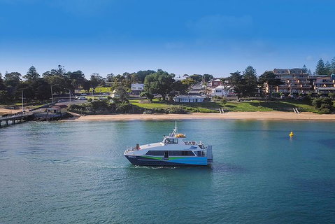 Phillip Island And French Island Wildlife Expedition - Kempsey Accommodation 2