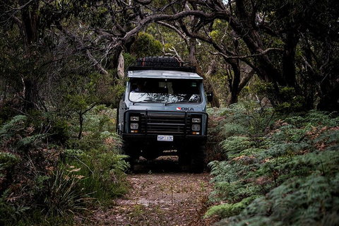 Phillip Island And French Island Wildlife Expedition - Kempsey Accommodation 4