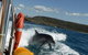 Noosa Oceanrider - Adventure Tour - thumb 1