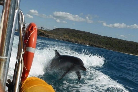 Noosa Oceanrider - Adventure Tour - Kempsey Accommodation 1