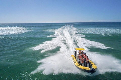 Noosa Oceanrider - Adventure Tour - Kempsey Accommodation 2