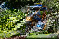 Book Viator Accommodation Vacations Kempsey Accommodation Kempsey Accommodation