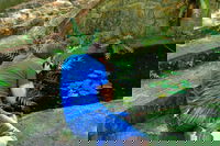 Highlights of Perth Photographic Tour