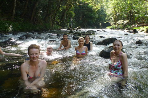 Daintree Rainforest, Cape Tribulation, Mossman Gorge Small-Group Day Tour - Kempsey Accommodation 0