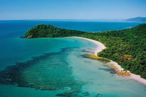 Daintree Rainforest, Cape Tribulation, Mossman Gorge Small-Group Day Tour - Kempsey Accommodation 4