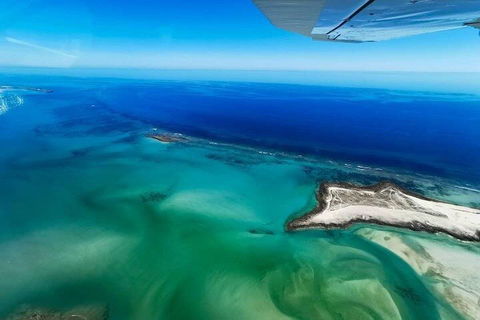 Wet Season Incredible Islands Tour - Horizontal Falls & Cygnet Bay Pearl Farm - Kempsey Accommodation 4