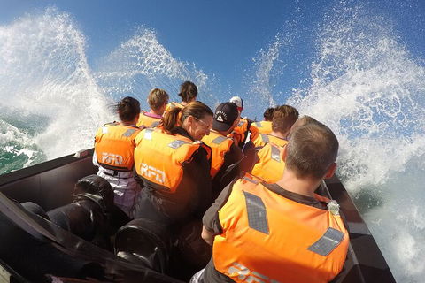 Noosa Thriller - 500hp Ocean Adventure Ride - Kempsey Accommodation 4
