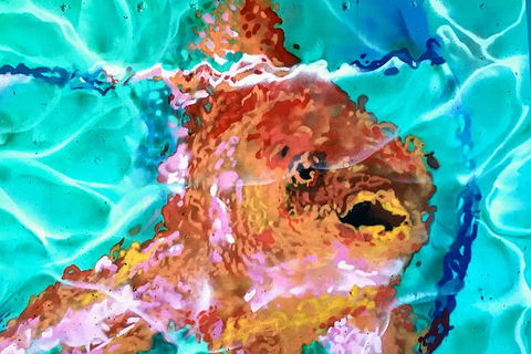 Discover Brisbane - South Bank - Kempsey Accommodation 4