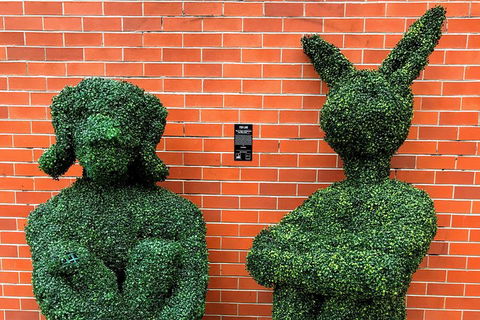 Discover Brisbane - South Bank - Kempsey Accommodation 5