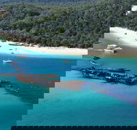All Inclusive Tangalooma Wrecks Cruise Tour From Gold Coast - Kempsey Accommodation