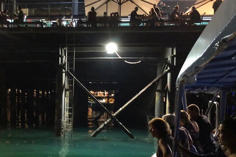 Darwin Sunset Cruise Including Fish 'n' Chips - Kempsey Accommodation 0