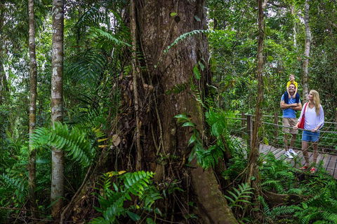 Kuranda Day Tour + HotAir Balloon Combo - Kempsey Accommodation 3